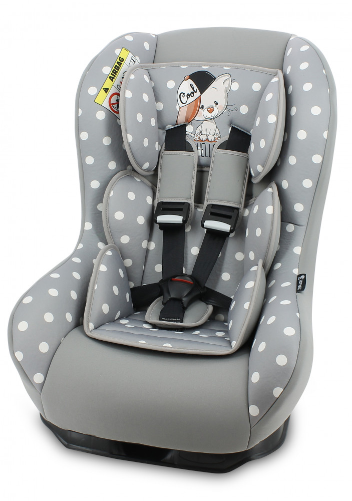 babashop.hu - Lorelli Beta+ autósülés 0-18kg - Grey Cool Cat 2019